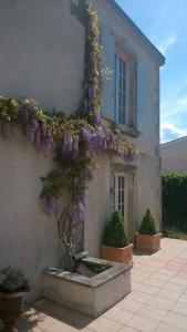 Vaste maison 23/29 pers. piscine proche des plages
