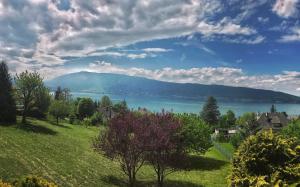 Maison de vacances VEYRIER DU LAC - Les Grillons, outstanding lake view by LocationlacAnnecy, LLA Selections 15 route de la corniche 74290 Veyrier-du-Lac Rhône-Alpes