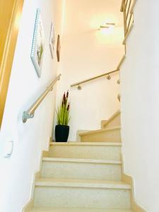 Vila Branca Cheerful Stay