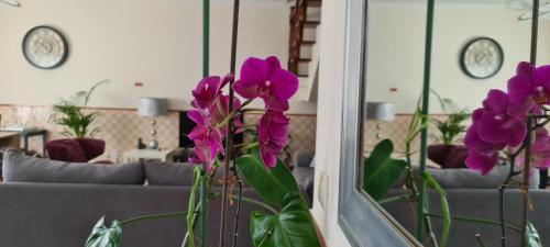 VILA FAIA RESIDENCE