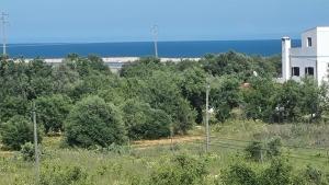 vila pinheiro