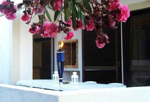 Villa 39
