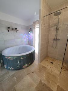 Villa 6 couchages spa privatif, accès direct mer, piscine