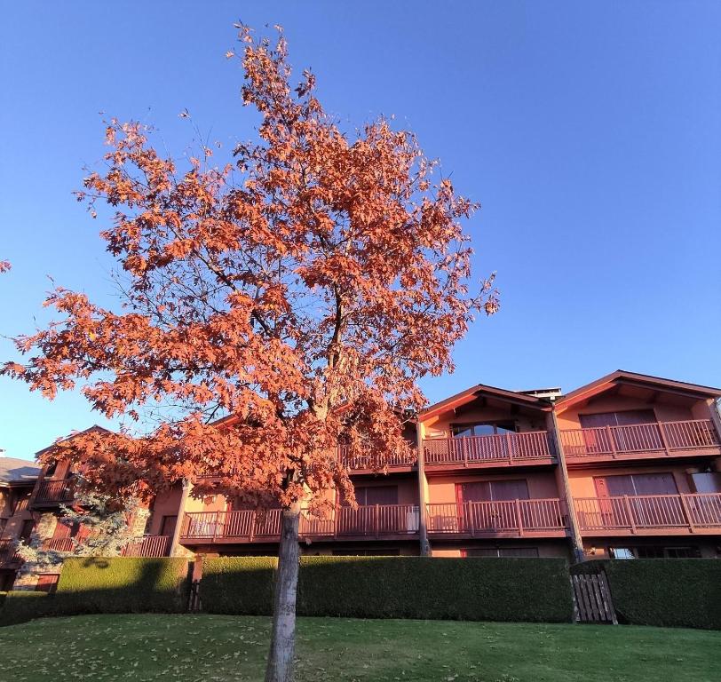 Villa Bettina