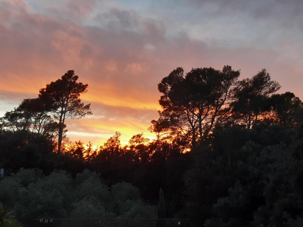 VILLA CATALAN 40560 Vielle-Saint-Girons