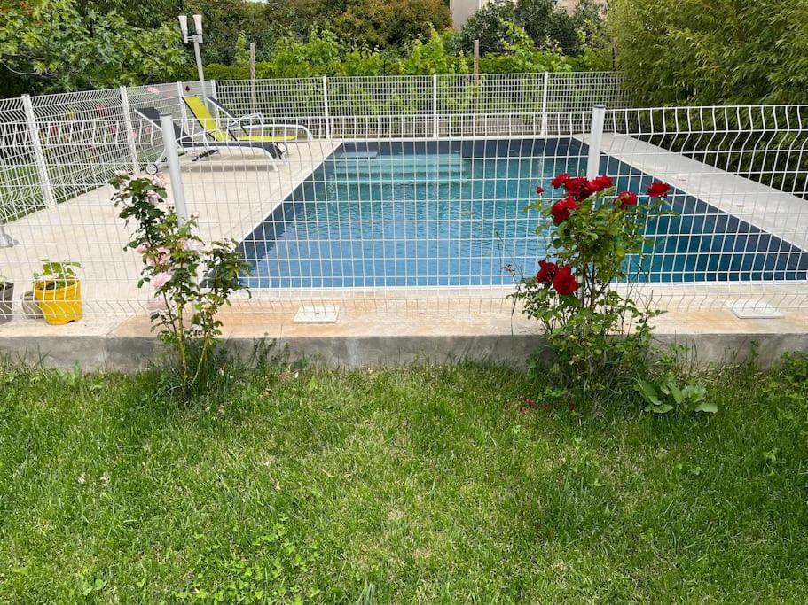 Maison de vacances Villa climatisé avec piscine et jacuzzi 183 Rue Colbert 84200 Carpentras