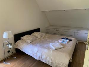 Villa - Coulommiers - Parcs des félins - Provins