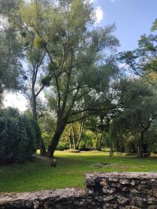 Villa - Coulommiers - Parcs des félins - Provins