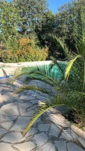 Villa dans un écrin de verdure