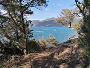 Villa en plein cœur du maquis et proche de la mer
