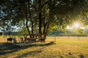 Villa idéale pour 6 vacanciers en Périgord noir
