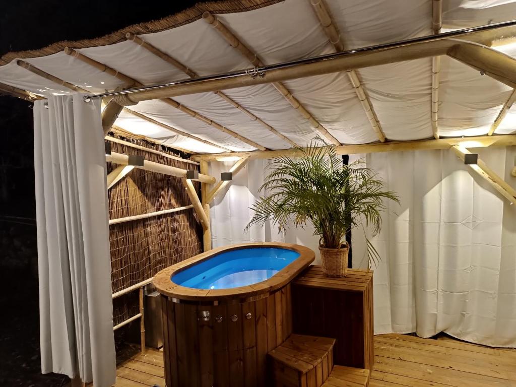 VILLA JASMIN, Rez de Jardin - Piscine privée chauffée, proche de Cannes