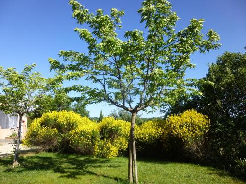 Villa Le Tournesol