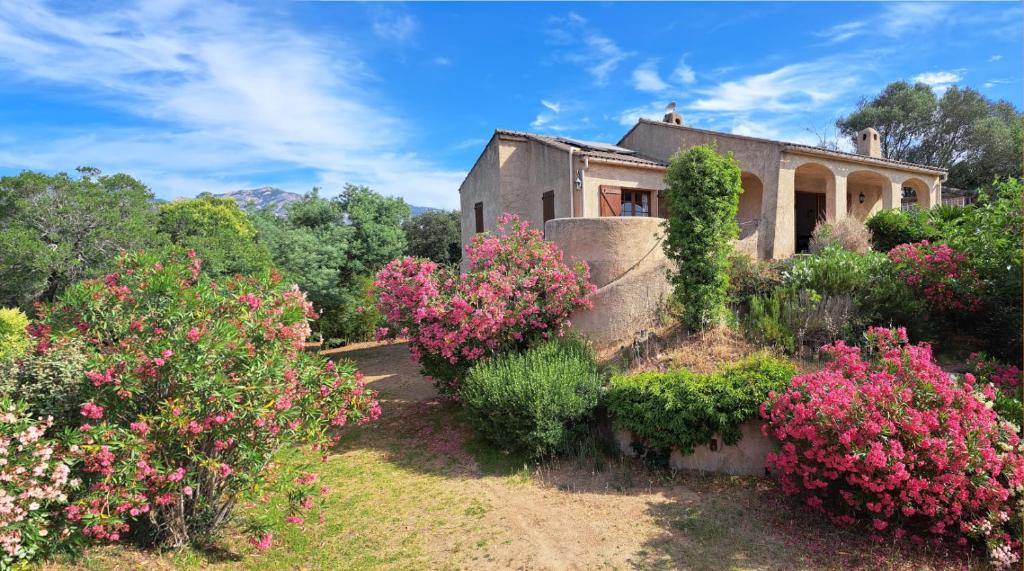 Maison de vacances Villa Les Asphodèles, piscine , vue mer et montagne Chemin de Tenda 20137 Porto-Vecchio