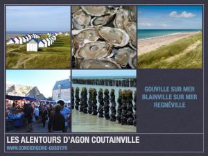 Maison de vacances VILLA LES ILOUS 1 Avenue des Pins 50590 Hauteville-sur-Mer Normandie