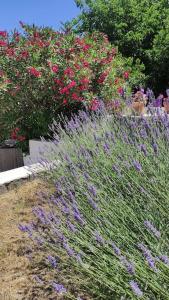 Villa Les Roches Blanches - Gite 2 Le Grand Gite