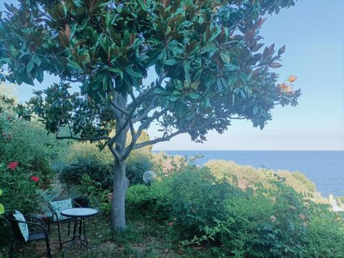 Villa Magnolia