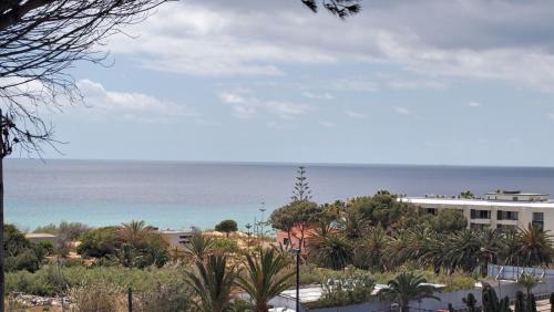 Villa Mary by OurMadeira