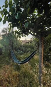 Villa Maxime