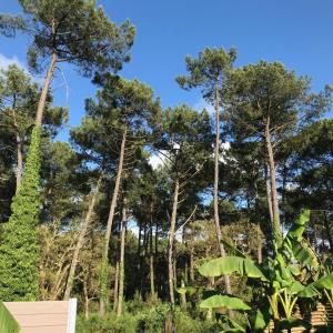 Villa patio terrasse privative proche bord de mer