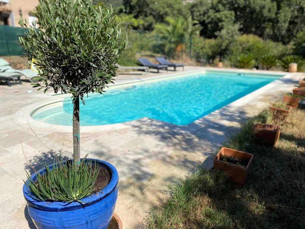 Maison de vacances Villa proche de St Tropez avec piscine et grand jardin au calme Lot 109 425 avenue des Bastides 83240 Cavalaire-sur-Mer