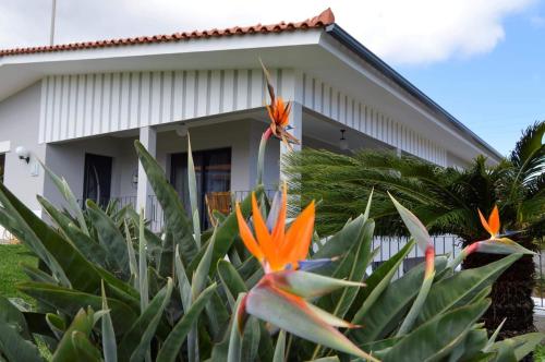 Villa Reis Gaula