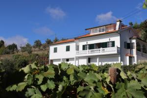 Villa Samaritana - Casa da Vinha