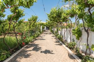 Villa Sao Miguel - Armacao de Pera