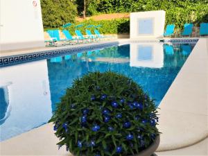 Villa Sunkiss Algarve Carvoeiro