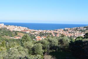 Maison de vacances Villa superbe vue sur mer et sur la montagne jardin terrasses 3 Route des Cretes 06560 Banyuls-sur-Mer Languedoc-Roussillon