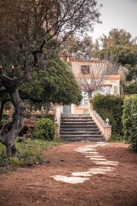 Villa Tamaris