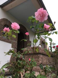 Villa Terem