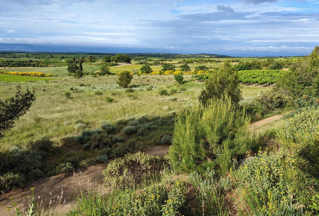 Maison de vacances Villa Vinha 31, rue du château d'eau, 11160 Caunes-Minervois 11160 Caunes-Minervois