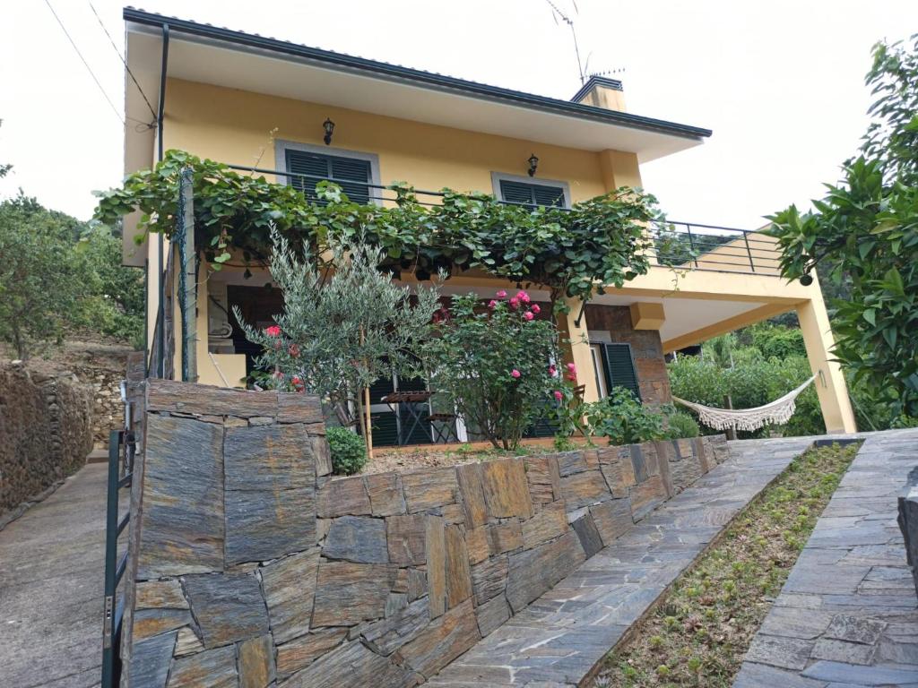 Vineyards Valley House 5100-683 Penajoia