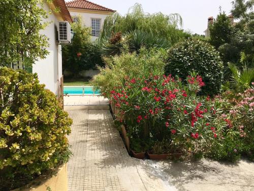 Vitoria's House