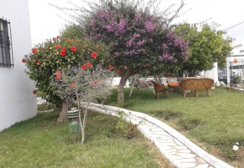Vivenda Miraflores