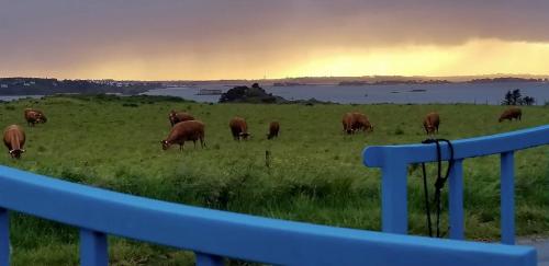 Vue mer et campagne / Côte de Térénez