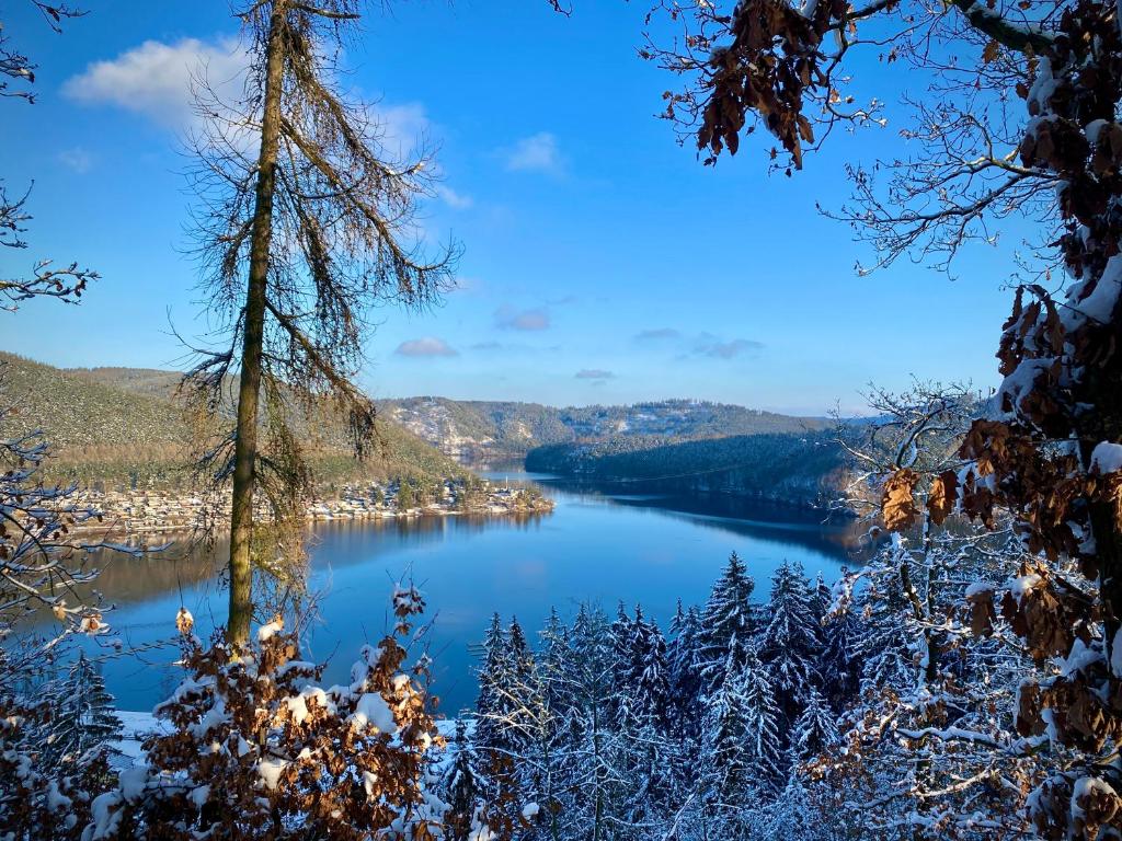 Wald See Glück Saalthal/ Alter Kiefernweg 212, 07333 Unterwellenborn