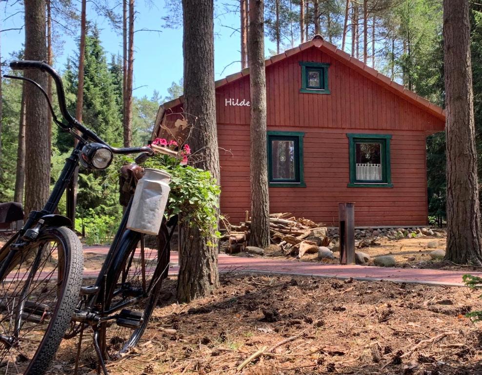 Maison de vacances Waldhaus Hilde Wehrbrink 11, 29556 29556 Suderburg