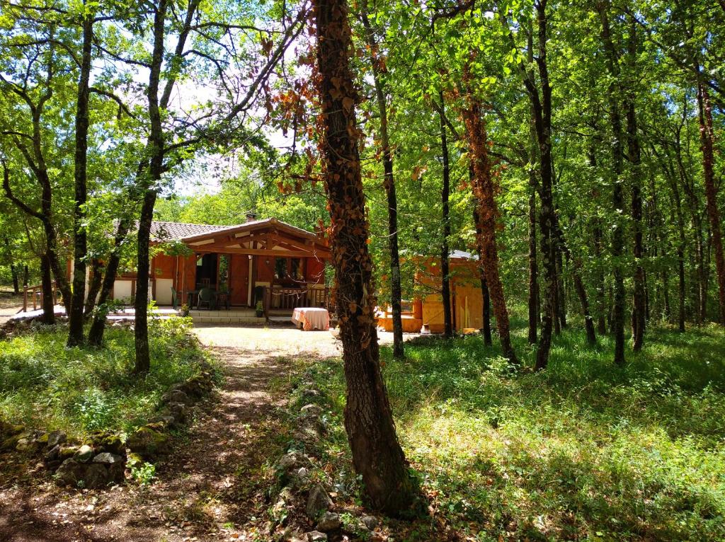 Waldhaus 23746 Kellenhusen