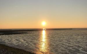 Watt Lodge ****(DTV)