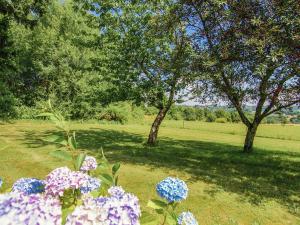 Welcoming cottage in Savignac L drier with garden