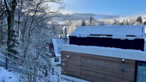 Williadukt