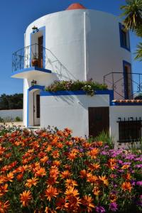 Maison de vacances Windmill Hill Fonte Santa Baixo 7555-011 Cercal Alentejo