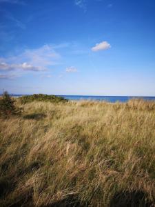 Wohlfühloase Villa Sunshine an weißem Sandstrand