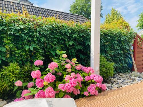 Wohnen wie zu Hause! freistehendes Ferienhaus \