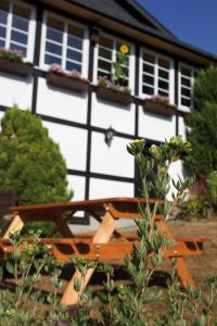 Wolfs Ferienhaus - Natürlich Eifel