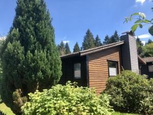 Wooden bungalow with oven, in Oberharz near a lake
