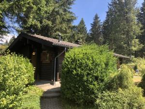 Wooden bungalow with oven, in Oberharz near a lake