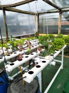 Your HOME ECO & NATUR